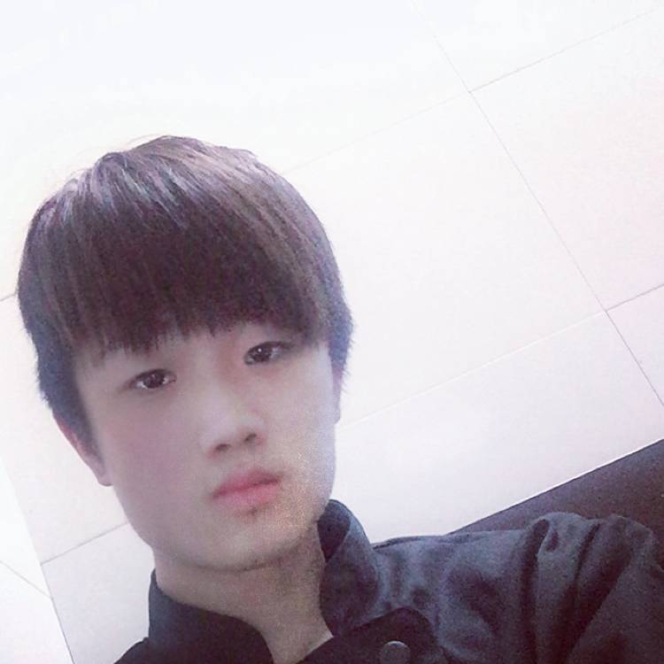 暖树暖树的照片