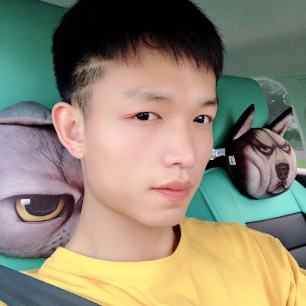 翅膀改变搞怪的照片