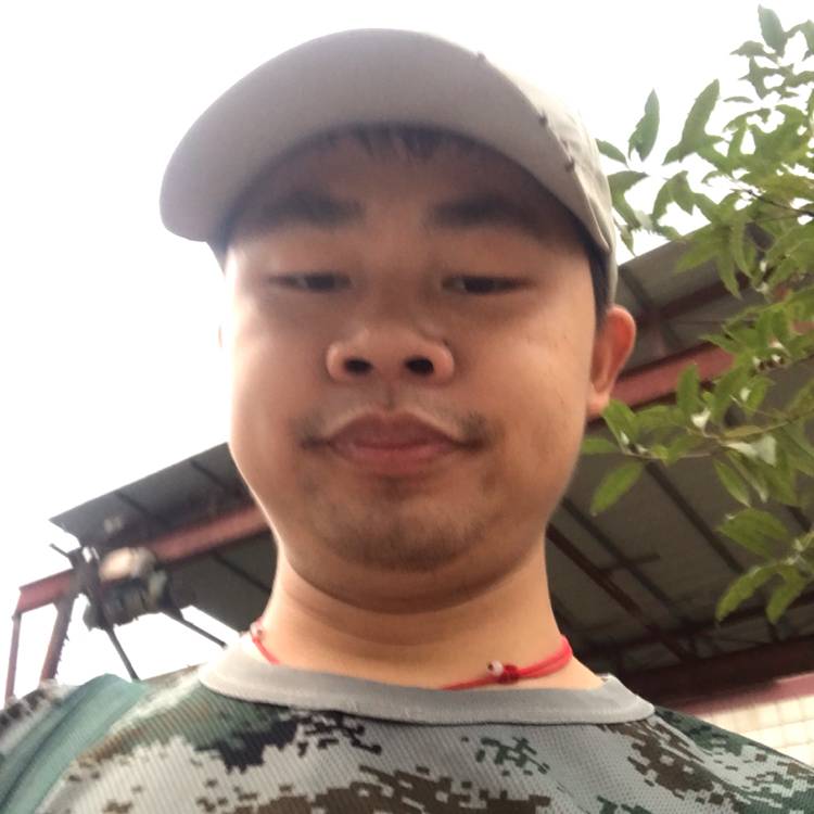 奇异果用光亮的照片