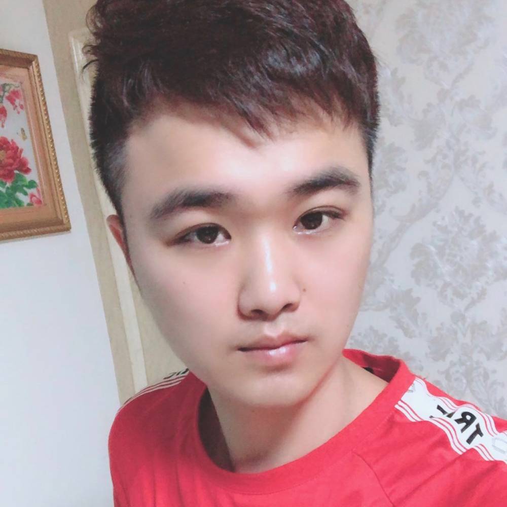 干净回首小刺猬的照片