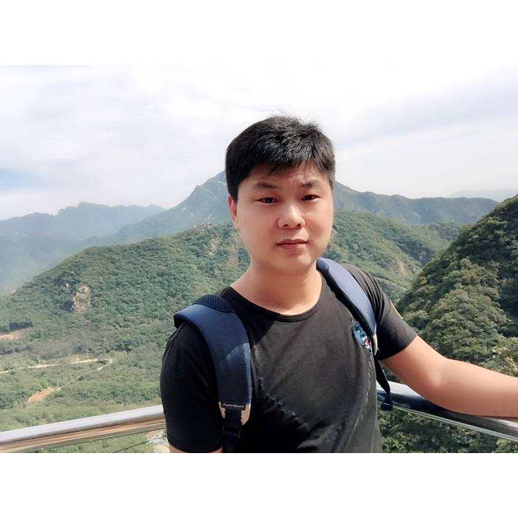 认真改变小猫咪的照片