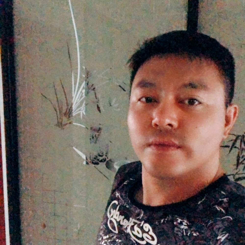 萤火虫的光¥的照片