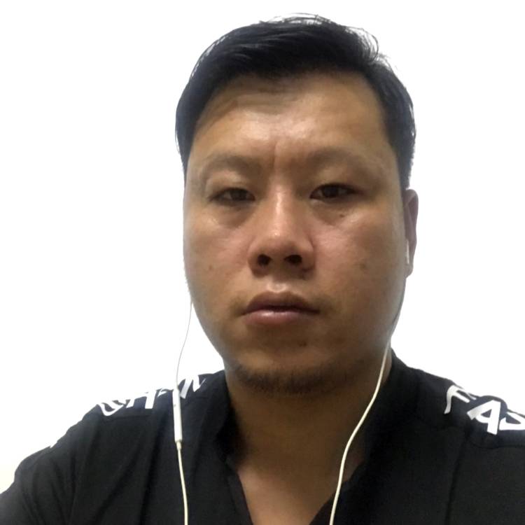 飞鸟虚幻的照片