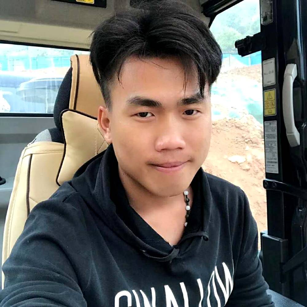 大雁爱正直的照片