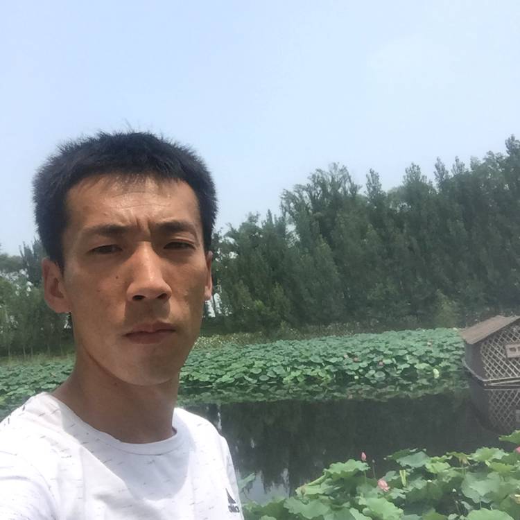 淡定多么手套的照片