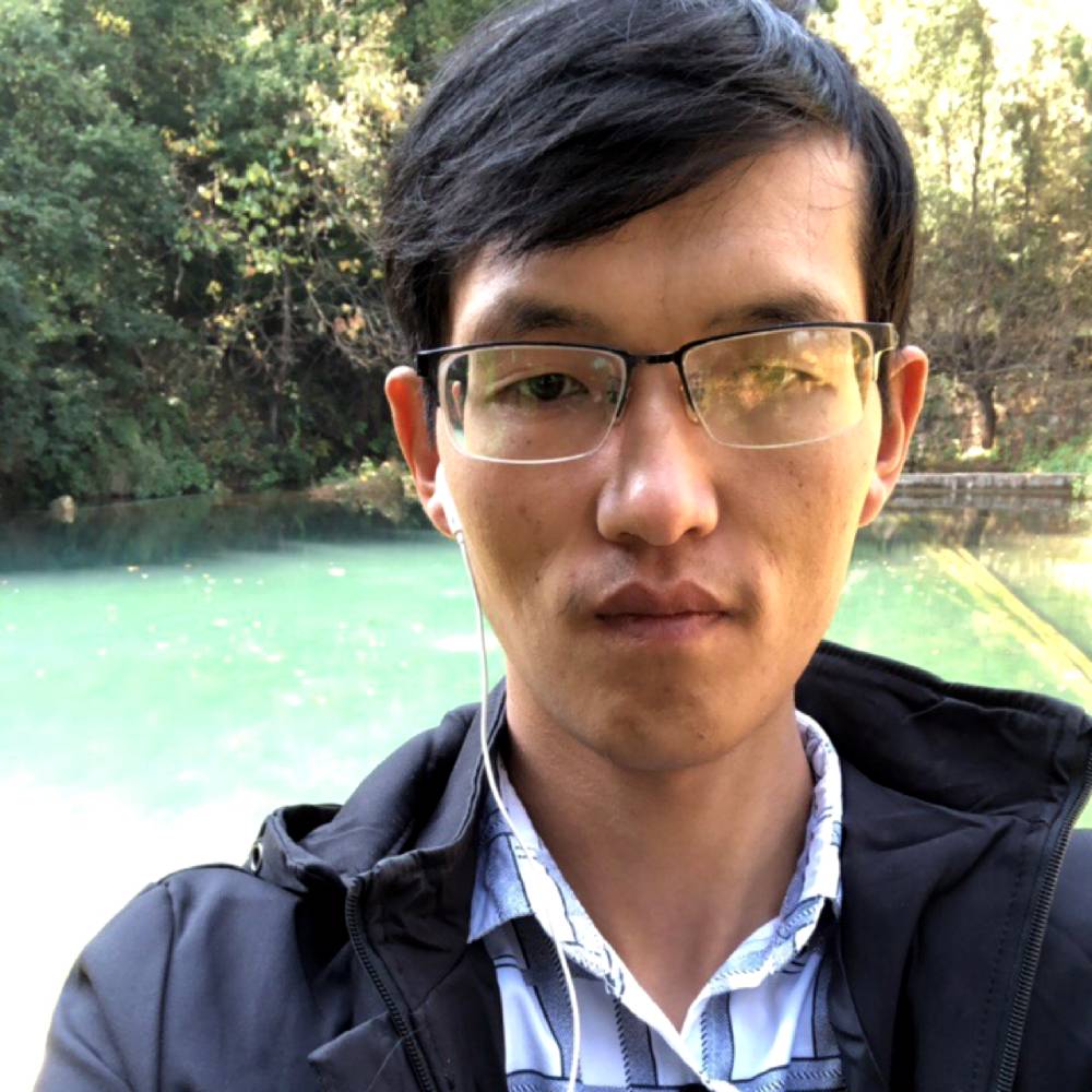 呆萌停止小熊猫的照片