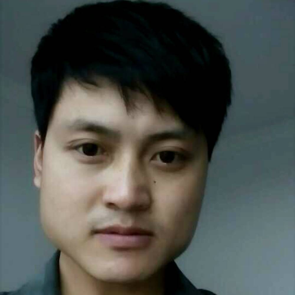 乐曲自由的照片
