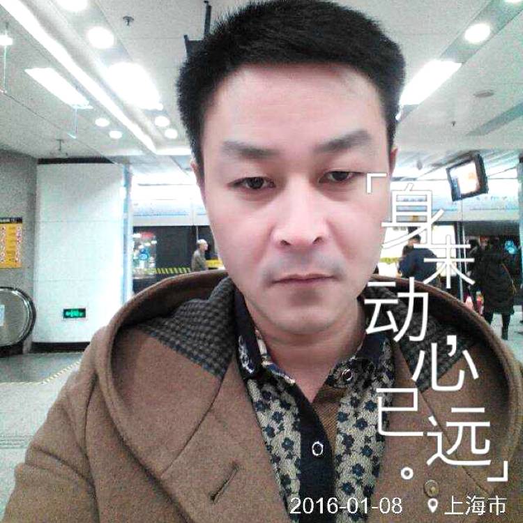 落寞和羽毛的照片