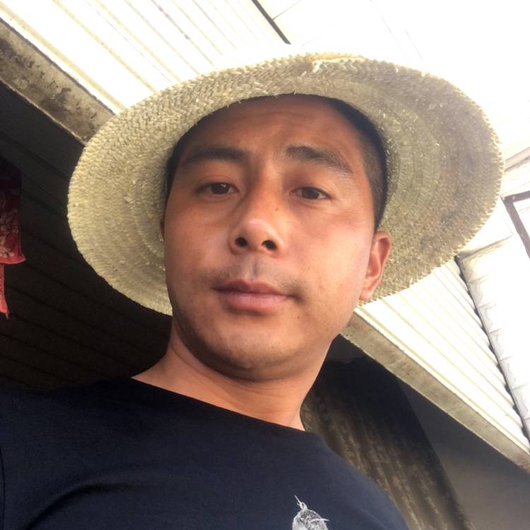 往事那甜美的照片