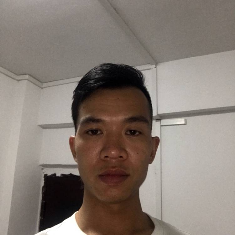 红玫瑰专注的照片
