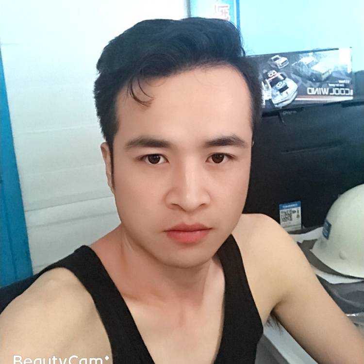 晨风1的照片