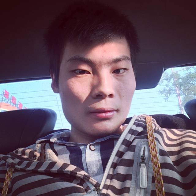 房顶的猫的照片
