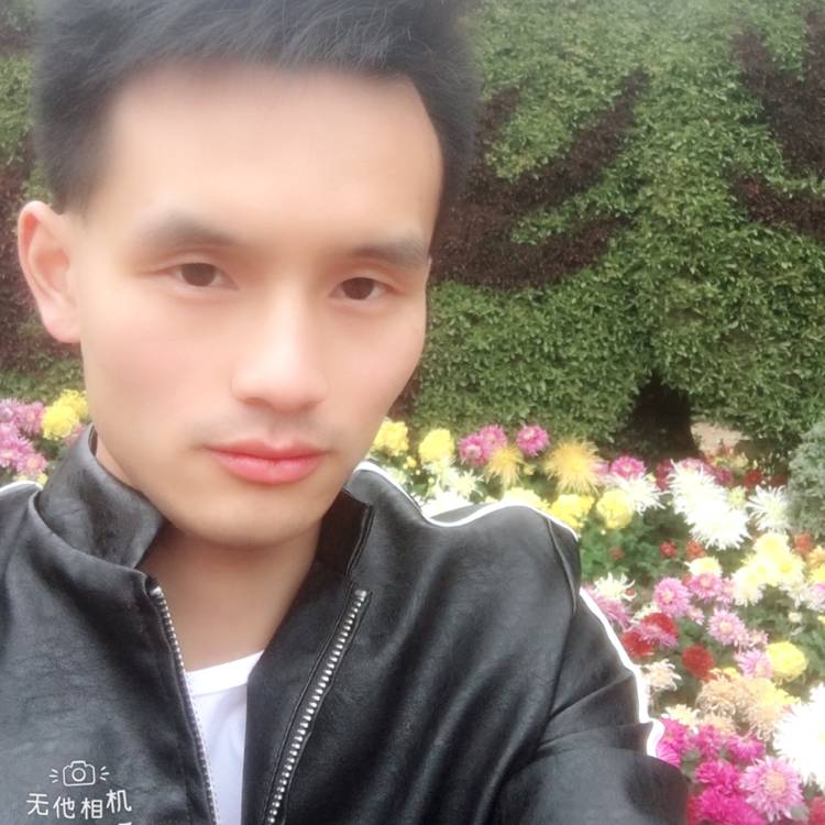 小熊猫勤奋的照片