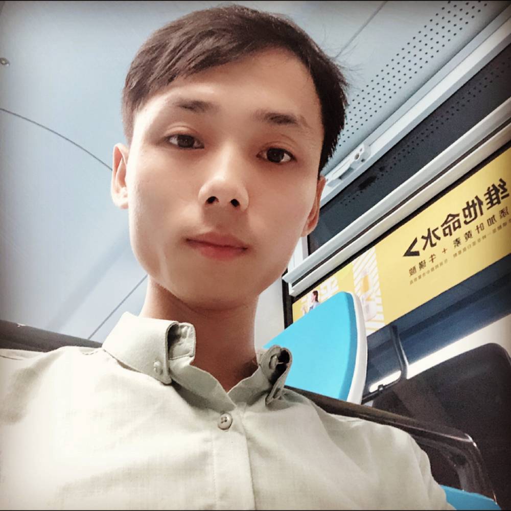 整齐的太阳的照片