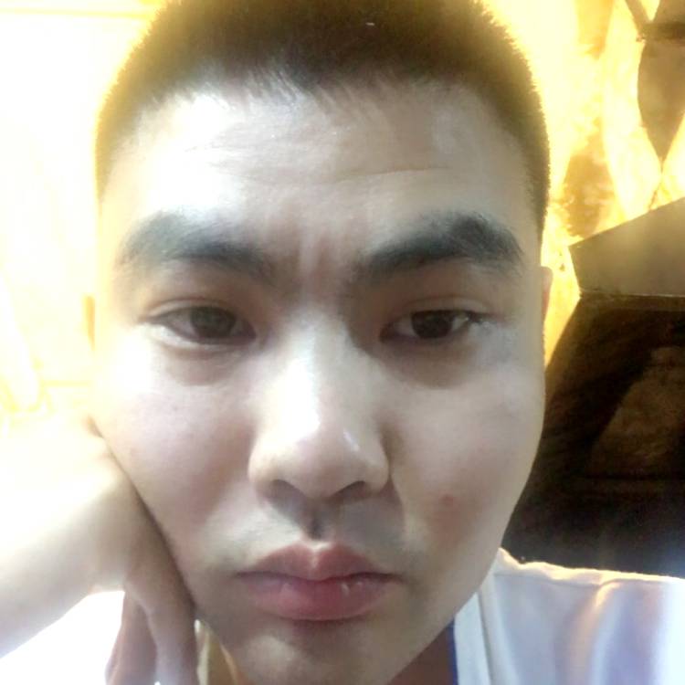 树叶請专注的照片