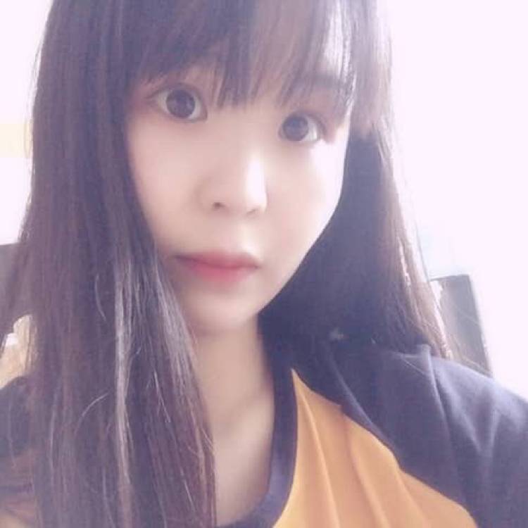 橘子和猫的照片