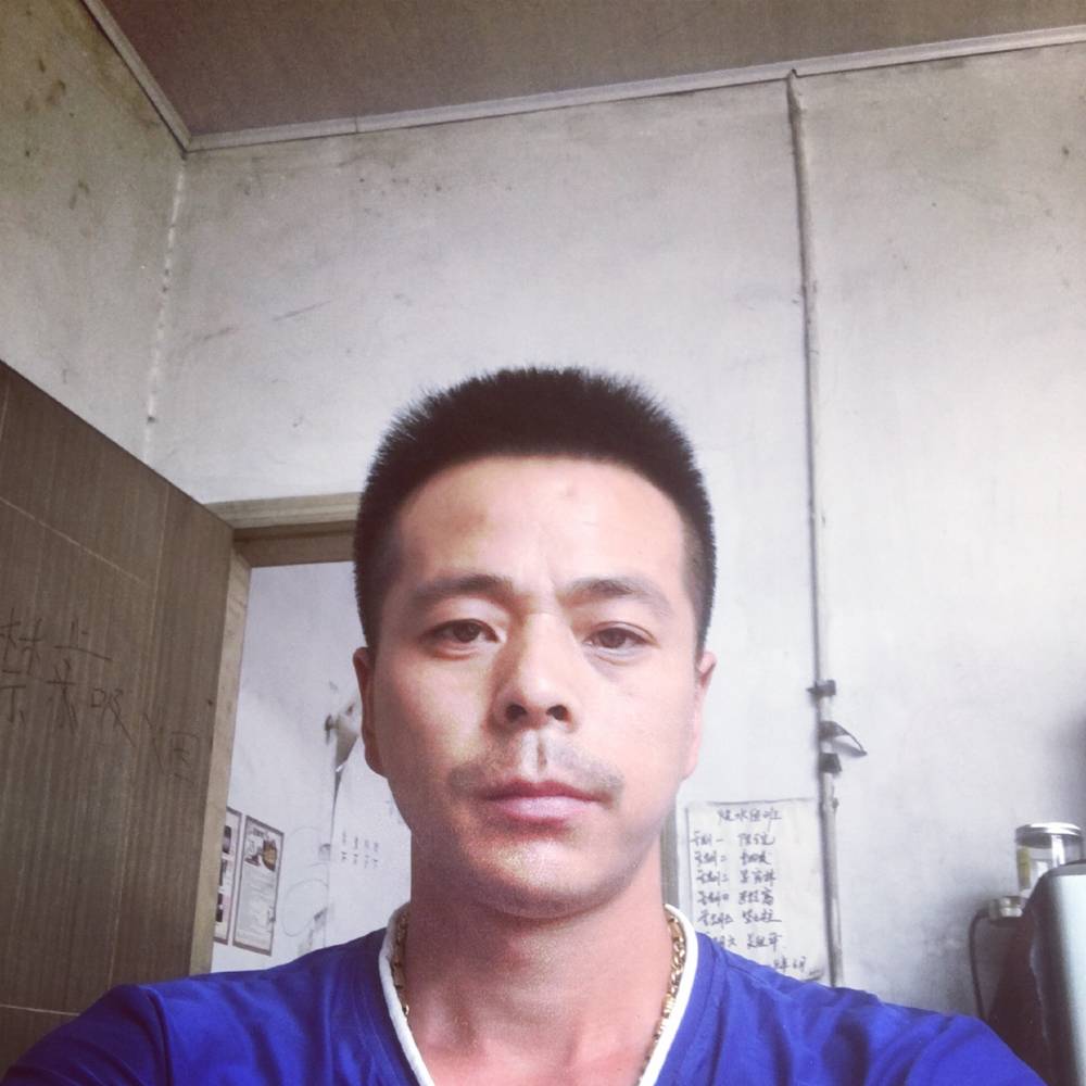 刺猬改变心灵美的照片