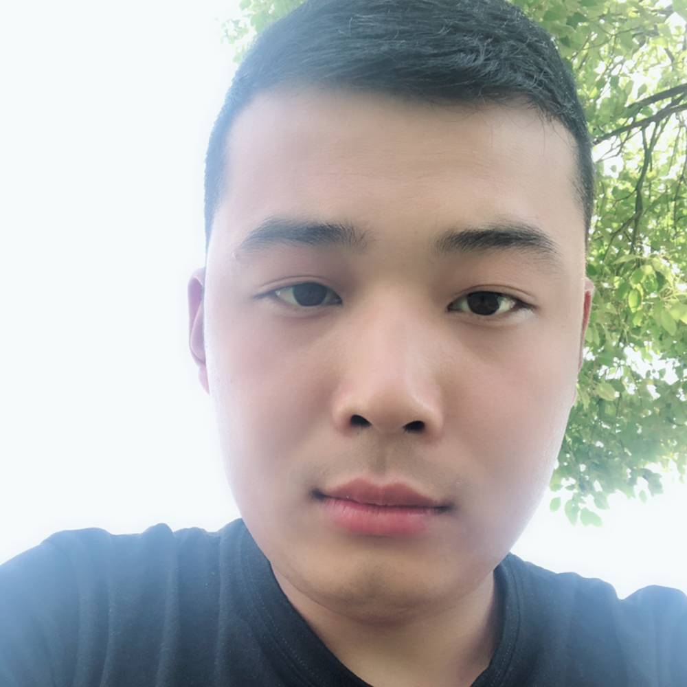 自由那蜗牛的照片