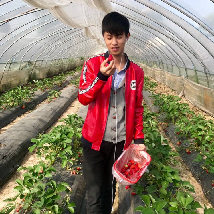 银耳汤勤奋的照片