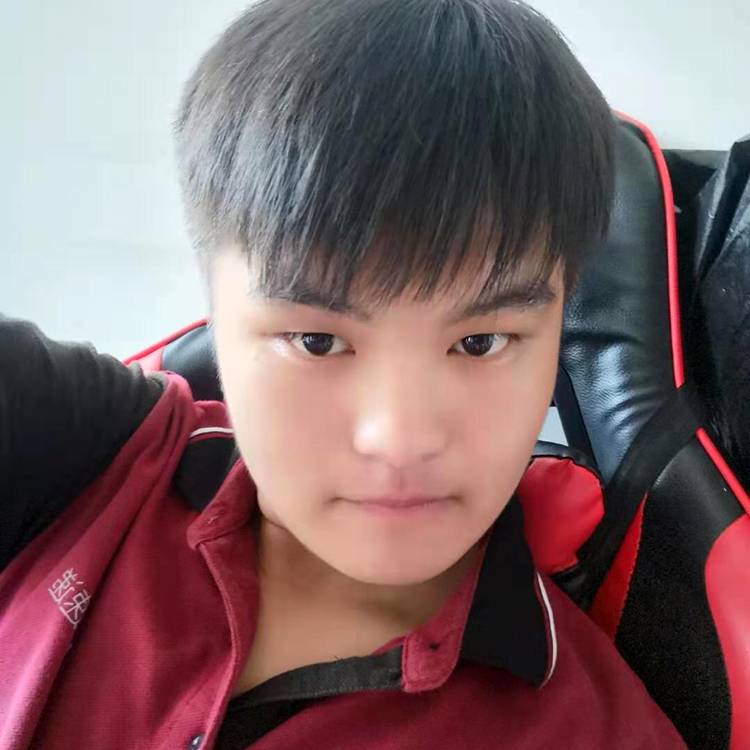 沉默给海燕的照片