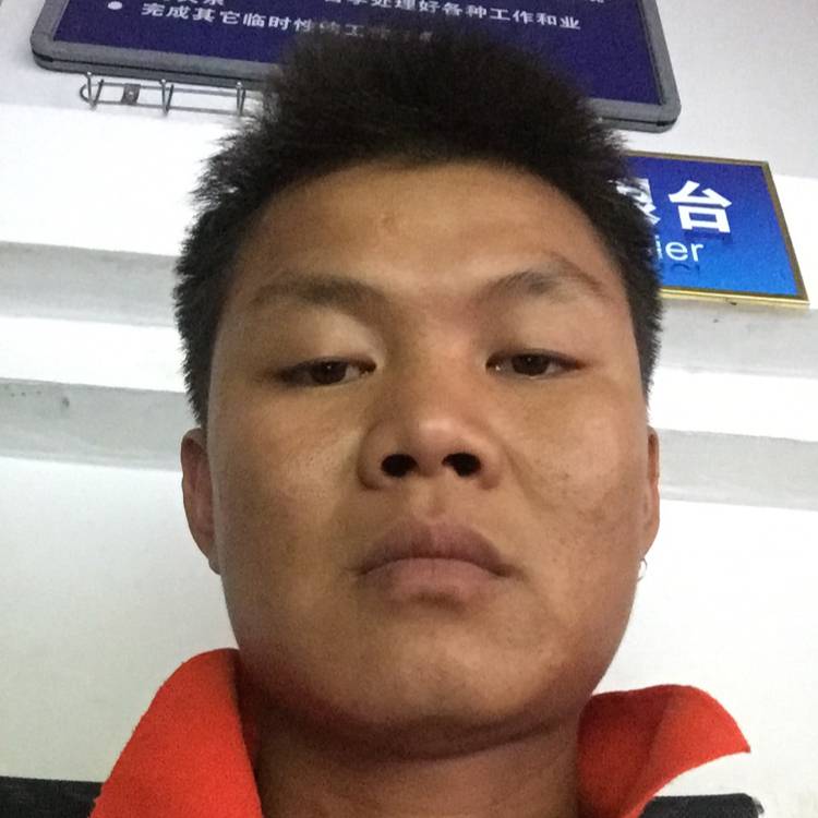 云南西双版纳的照片