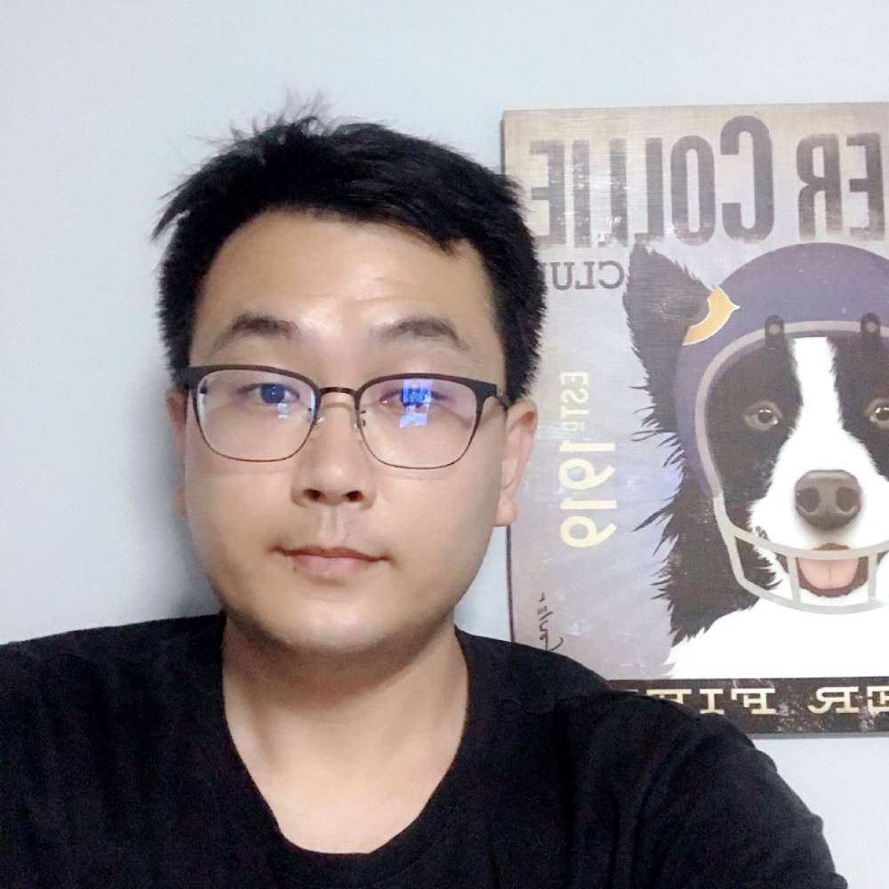 笨笨漫步龙猫的照片