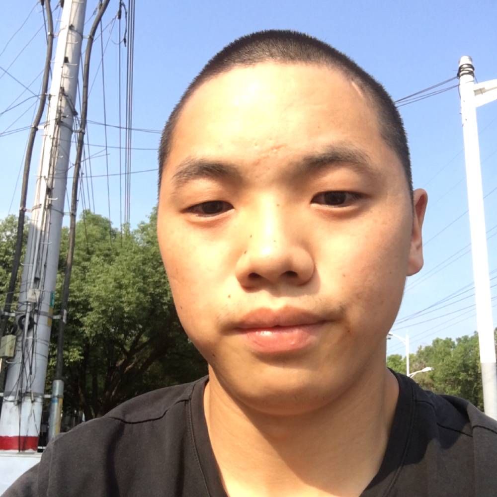 啤酒迅速的照片