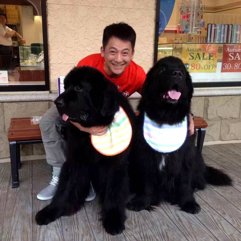 暖暖的逗比大叔的照片