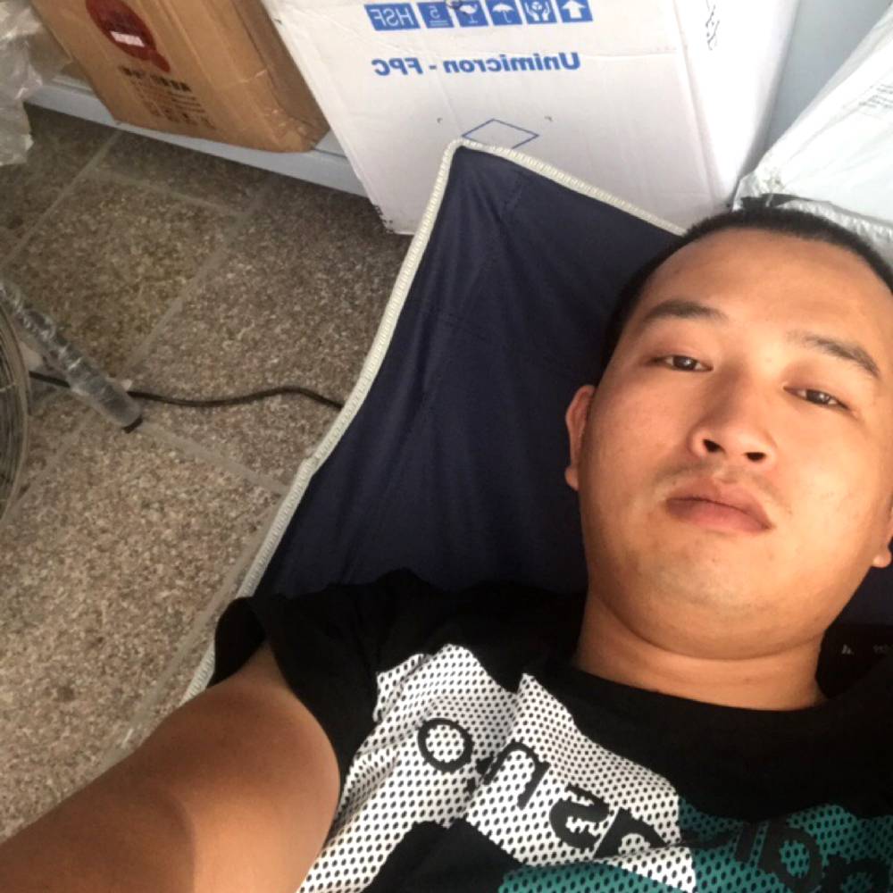 翅膀无垠的照片