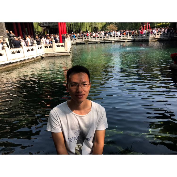 北部湾小鱼的照片