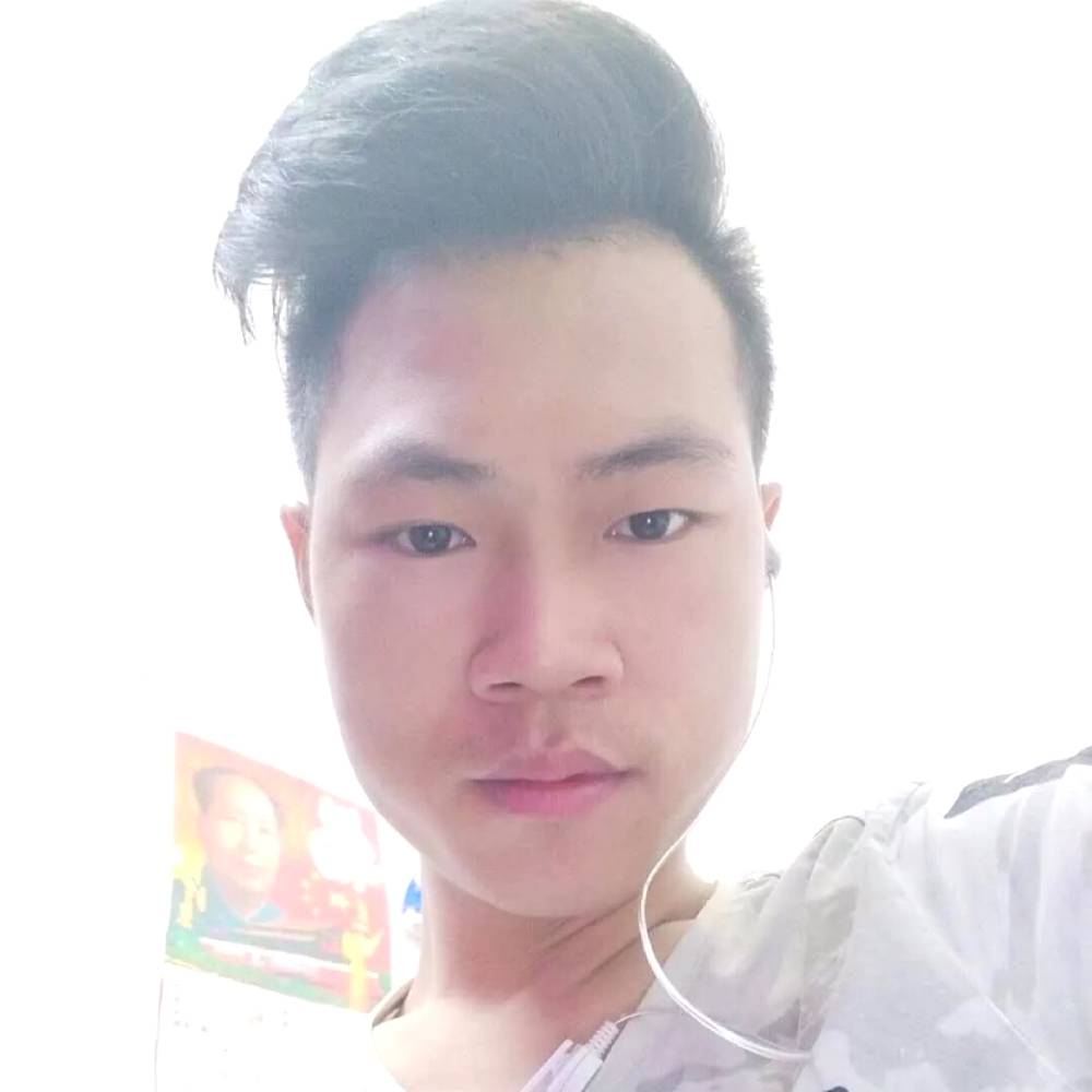 洋葱漫步奋斗的照片