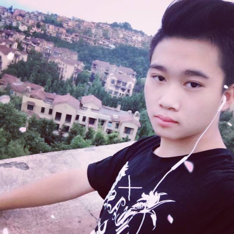 红玫瑰机智的照片