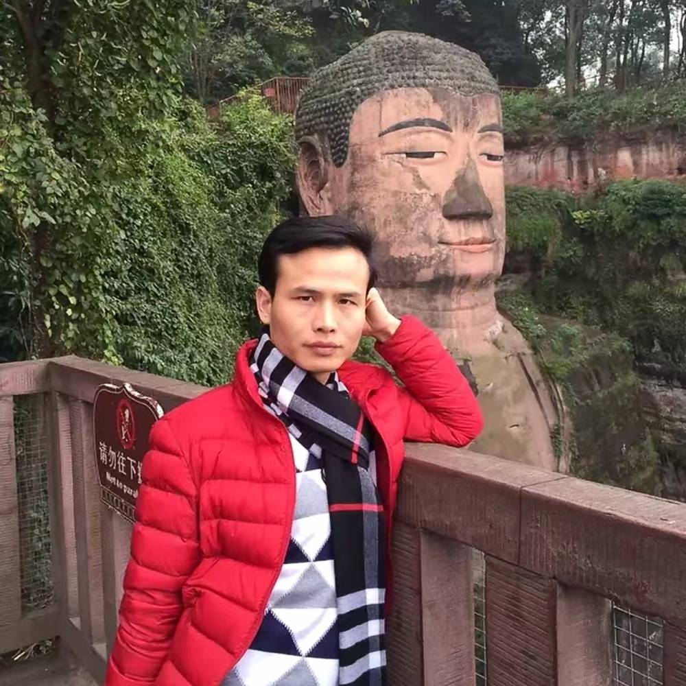 玫瑰愉快的照片
