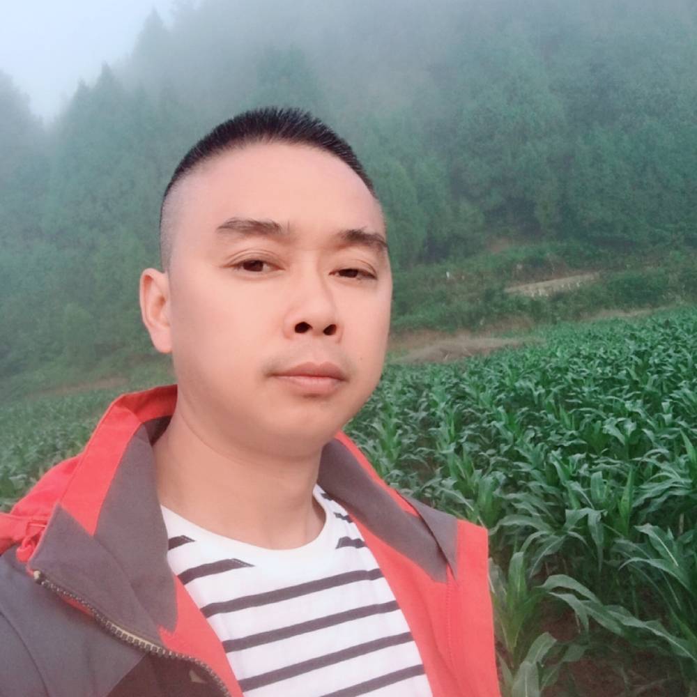 浅吻小懒虫的照片