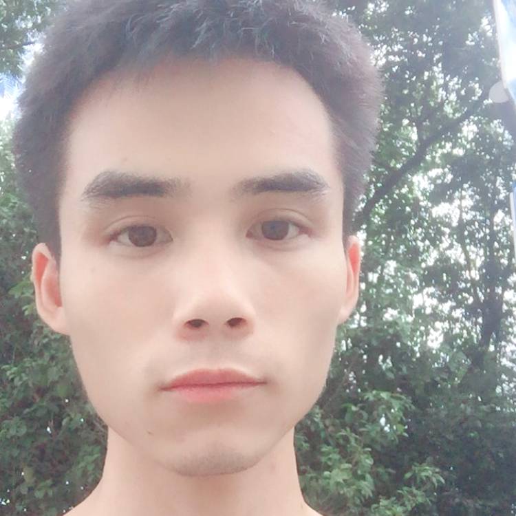 谨慎浅吻荷花的照片