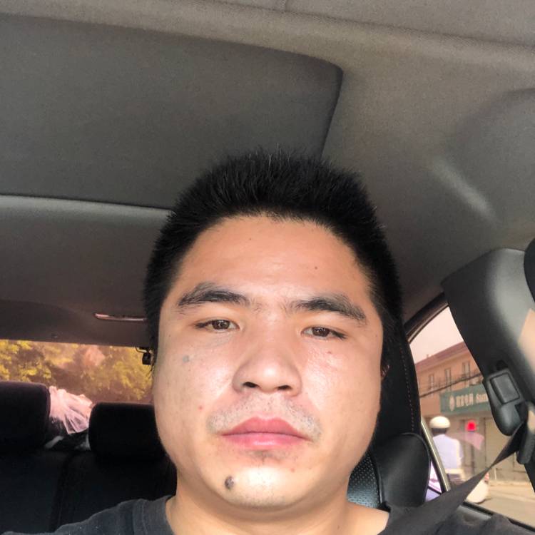 玫瑰等于典雅的照片