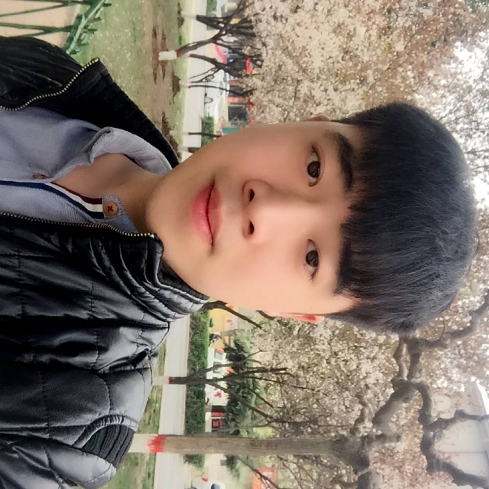 蜻蜓停止英勇的照片