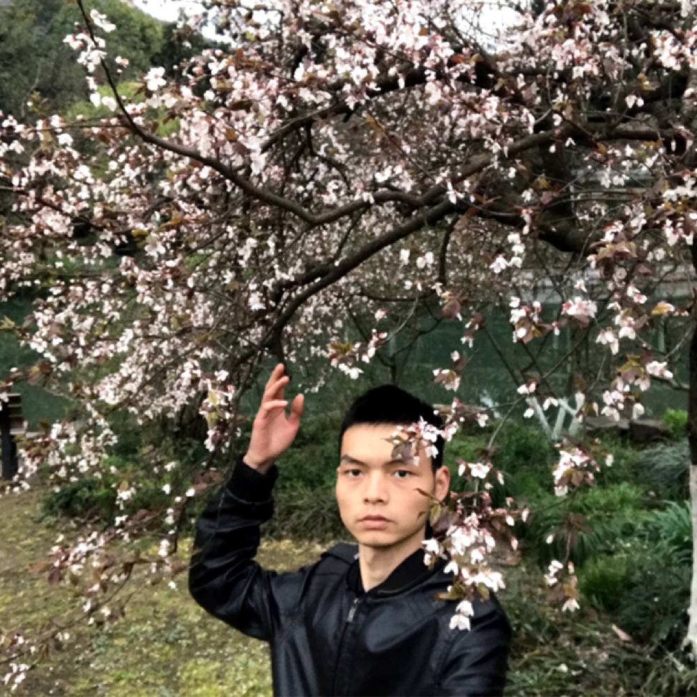 等风来也等你来的照片