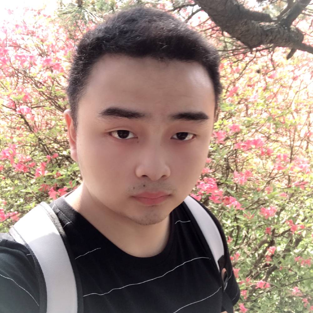 蚂蚁就兴奋的照片