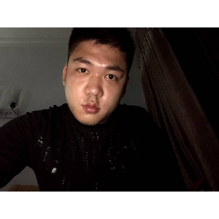 猫咪含糊的照片