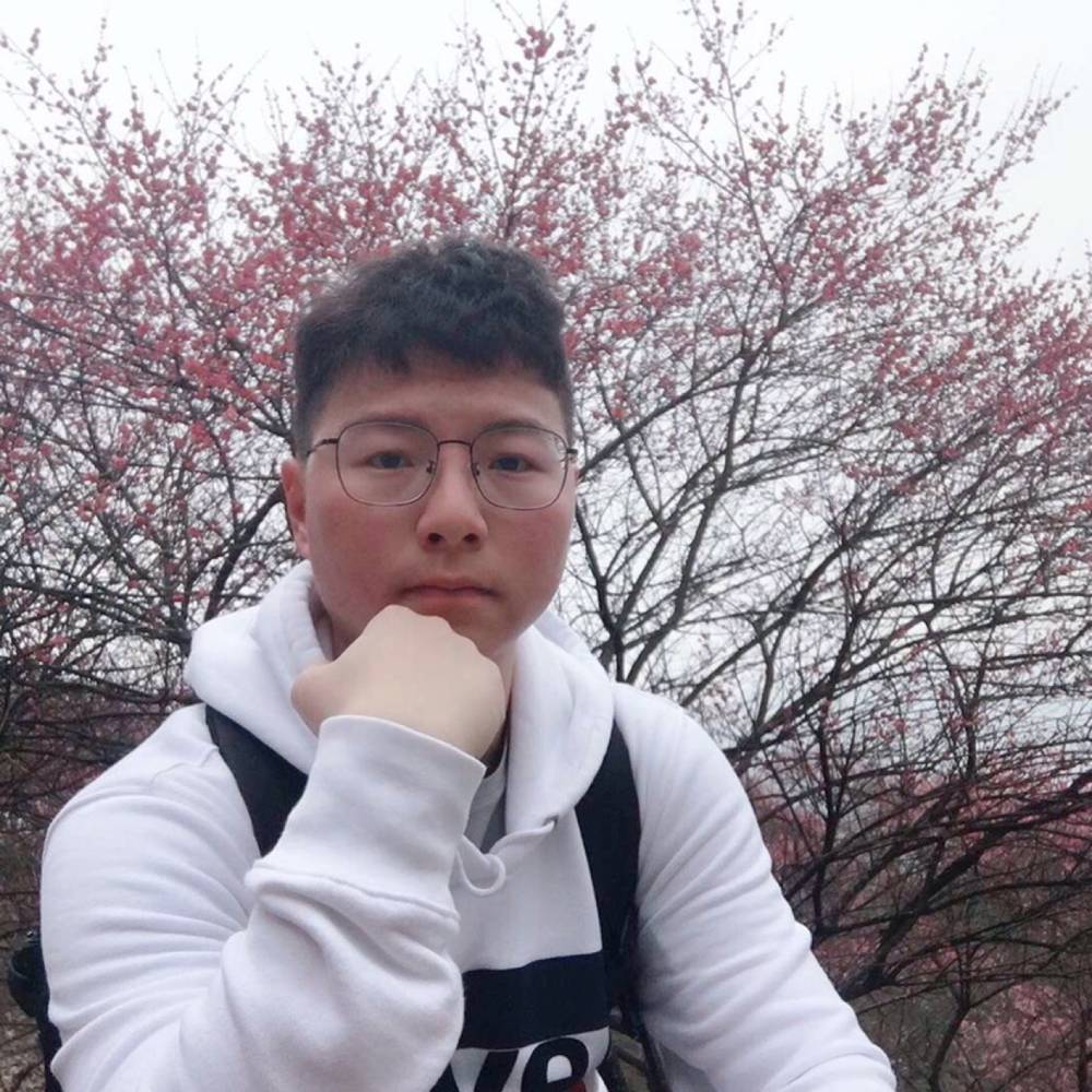 半调子的温柔的照片