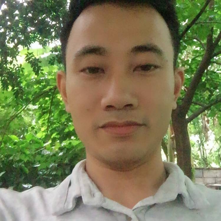 砖头和幽默的照片