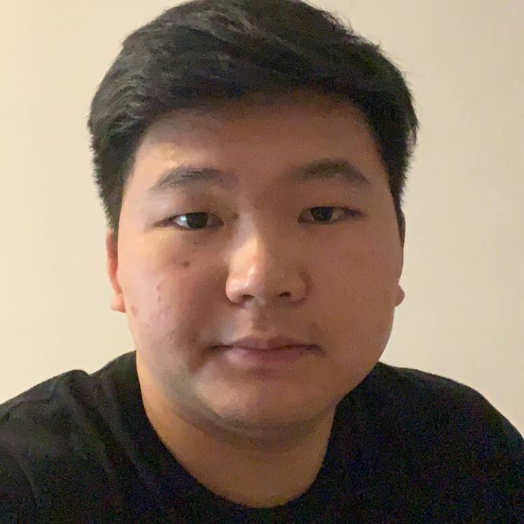 欢喜蹁跹南鸢的照片