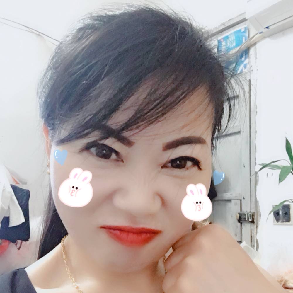 燕子的猪猪的照片