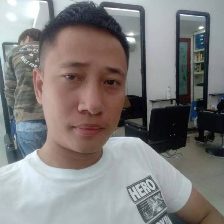 玫瑰漫步平淡的照片