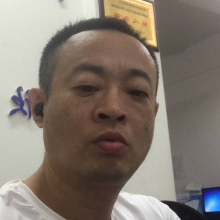野性的蜜蜂111的照片