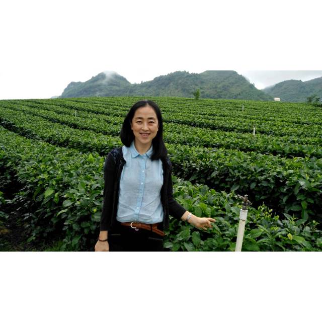 坚强下雨天Amy的照片