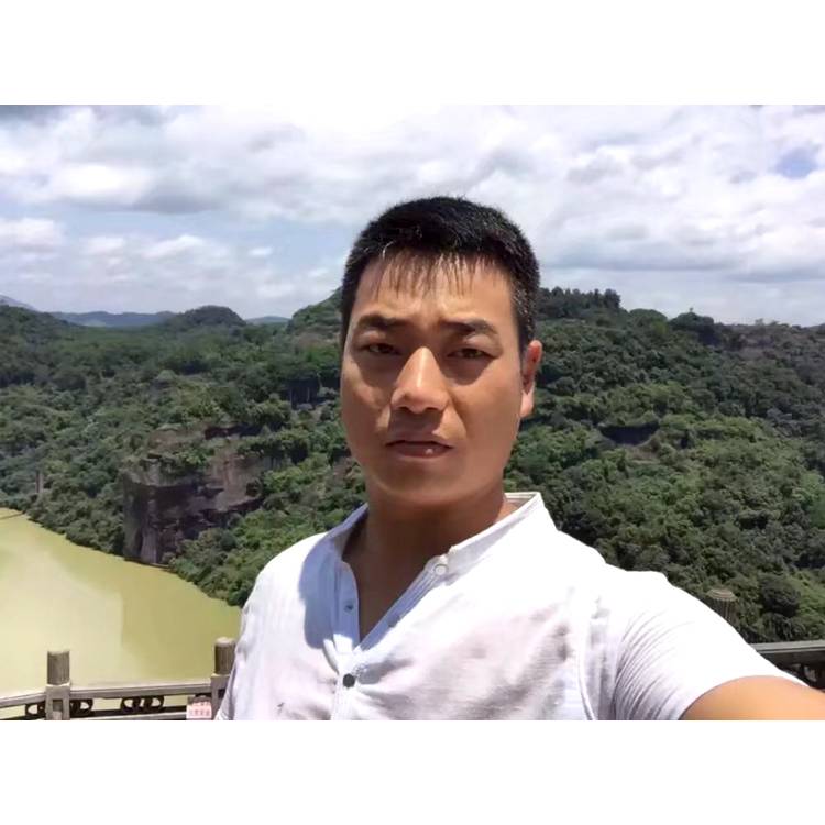 向日葵吃醋寂寞的照片