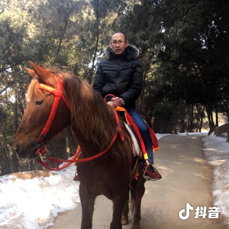 美女老实的照片