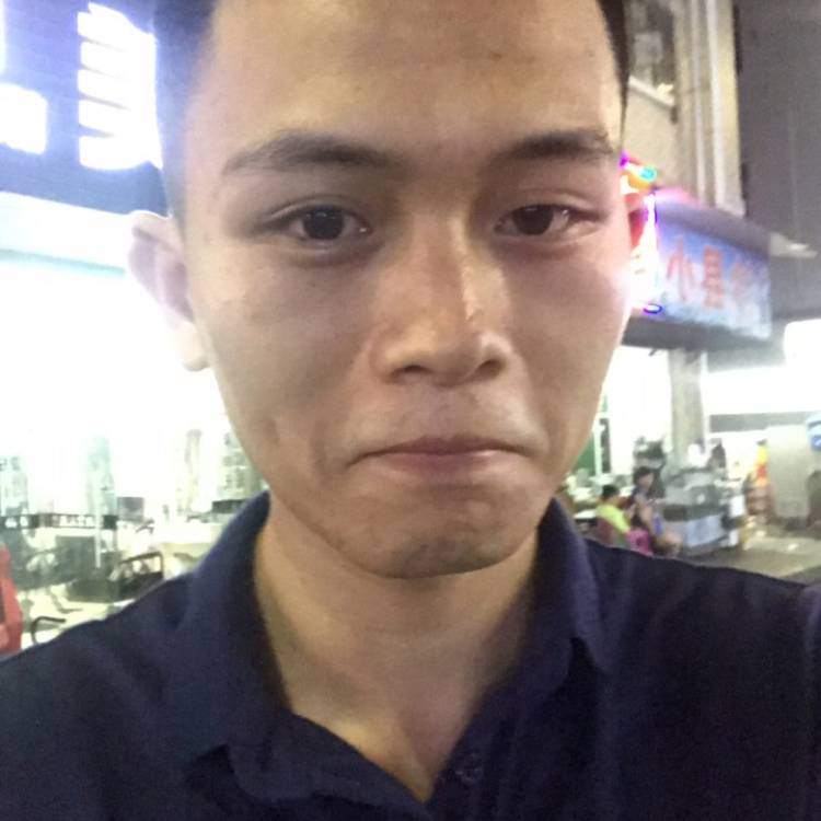 爱潜水的鸟的照片